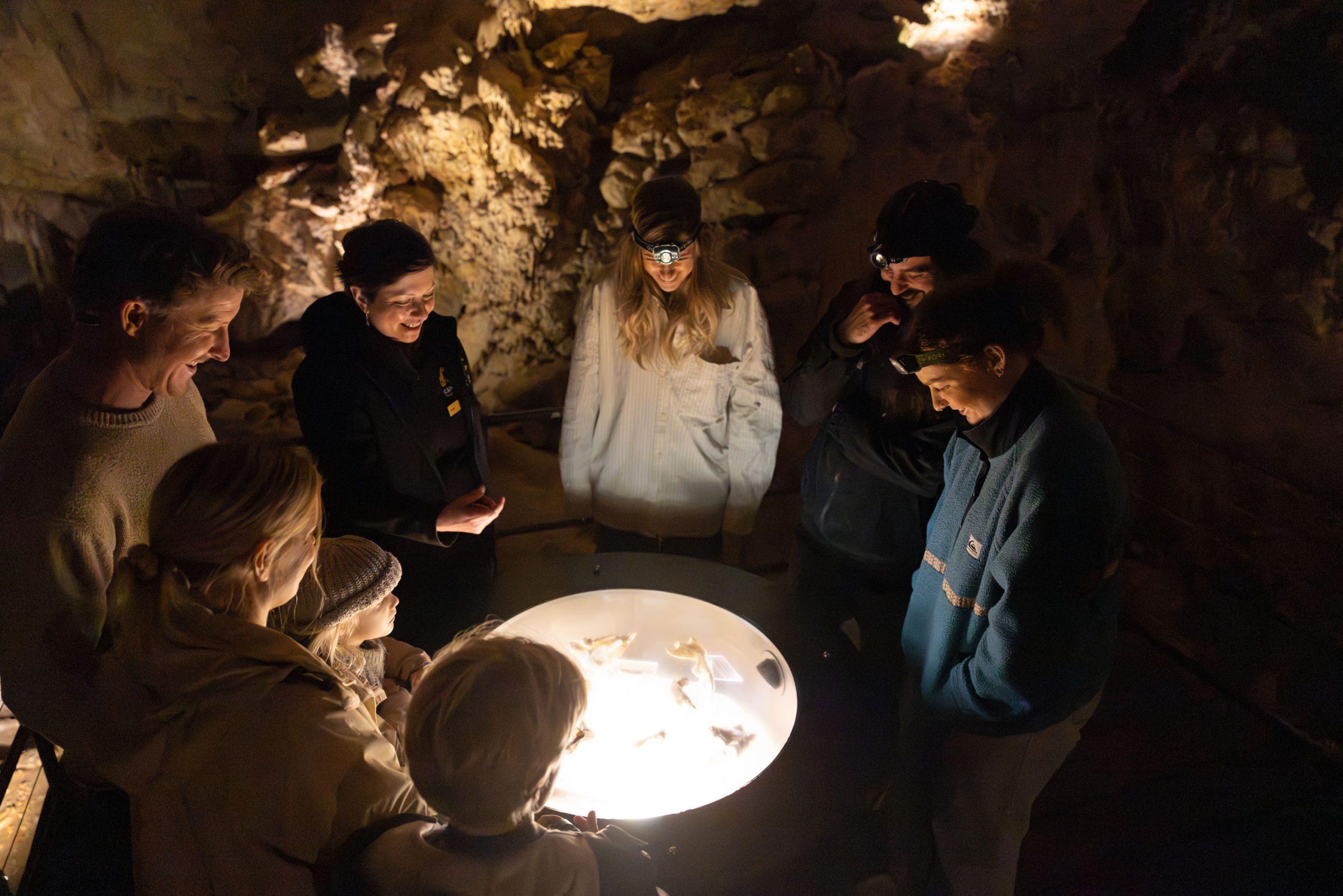 Group of people observing megafauna fossils inside Mammoth Cave, with some wearing head torches.