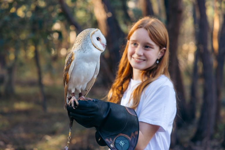 Visitor holding barn owl on glove.