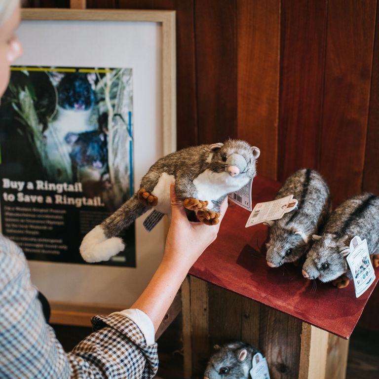 Display of possum plush toys for sale in a retail space, with a person browsing them.
