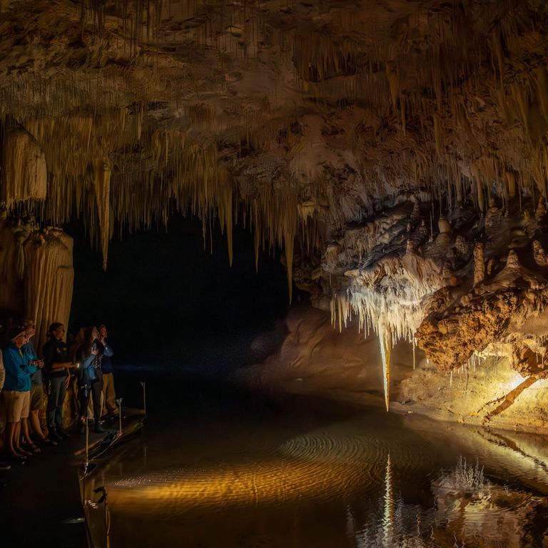 Visitors stand on a boardwalk inside Lake Cave, looking at stalactites and shawl formations reflected in the calm water of the underground lake, softly lit within the limestone chamber.