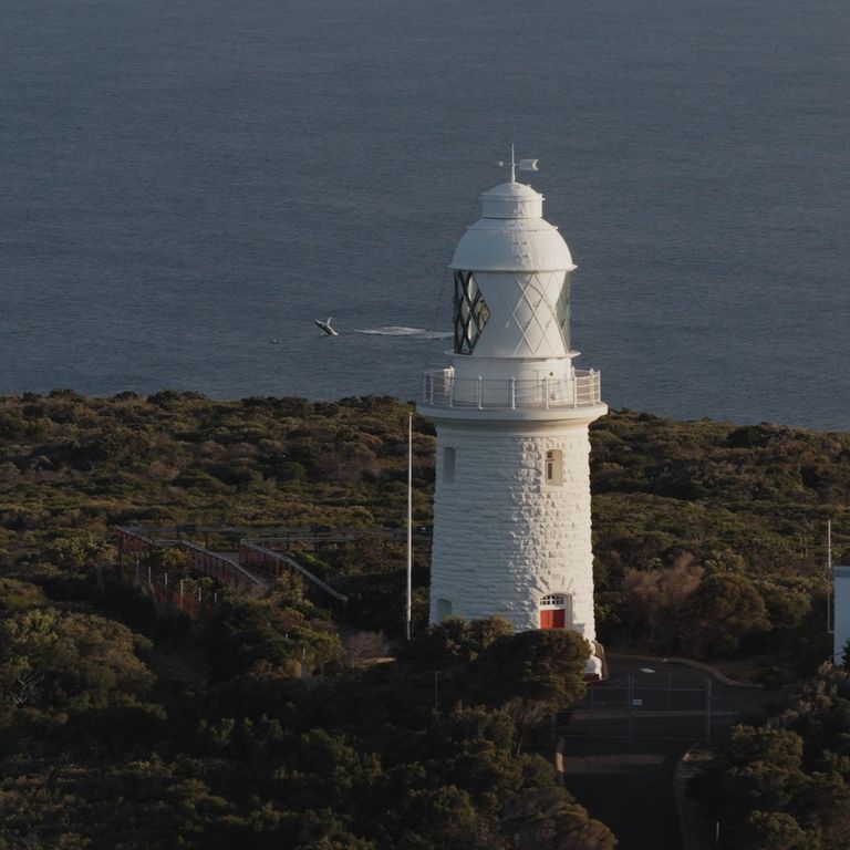 An aerial image of Cape Naturaliste Lighthouse, with the ocean and a breaching whale in the background.
