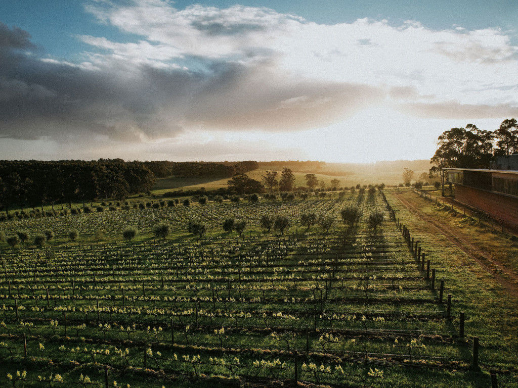 McHenry Hohnen Vintners The Margaret River Region