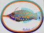 Filefish Sea Experiences logo