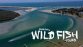 Augusta Wild Fish Tours logo