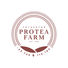 Yelverton Protea Farm logo