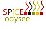 Spice Odysee -The Hidden Kitchen logo