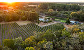 Island Brook Estate Vineyard Chalets