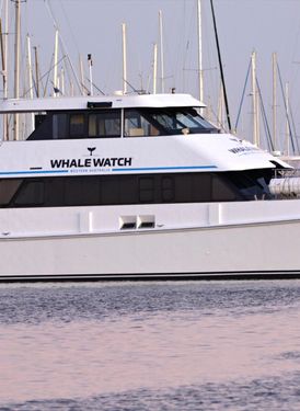 Whale Watch Western Australia image