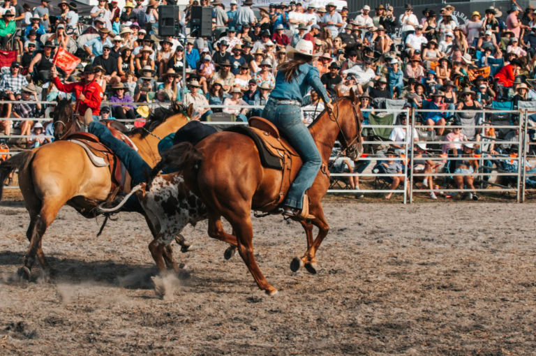 Rodeo