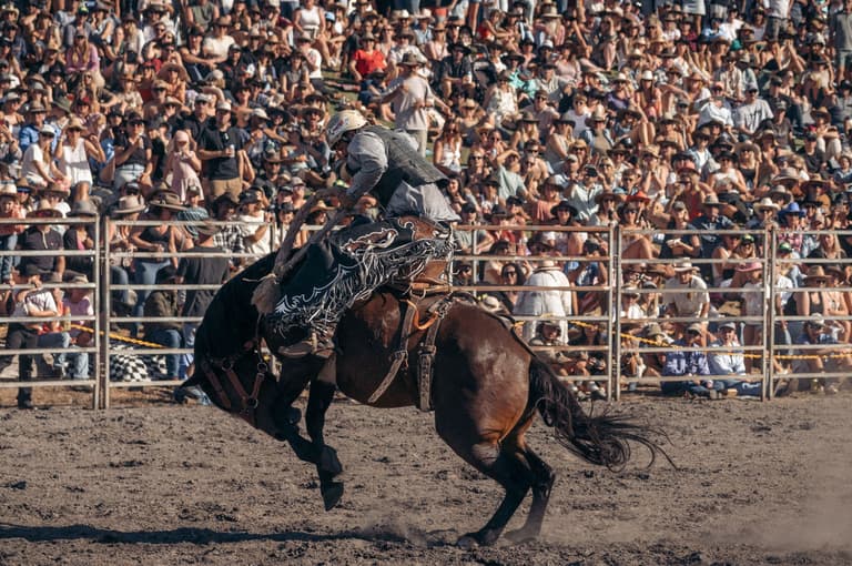 Beerfarm Metricup Rodeo 2027