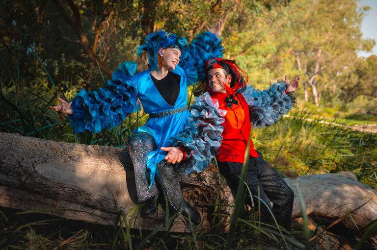 Aliwah Bardinar! Look Out, Rosella!