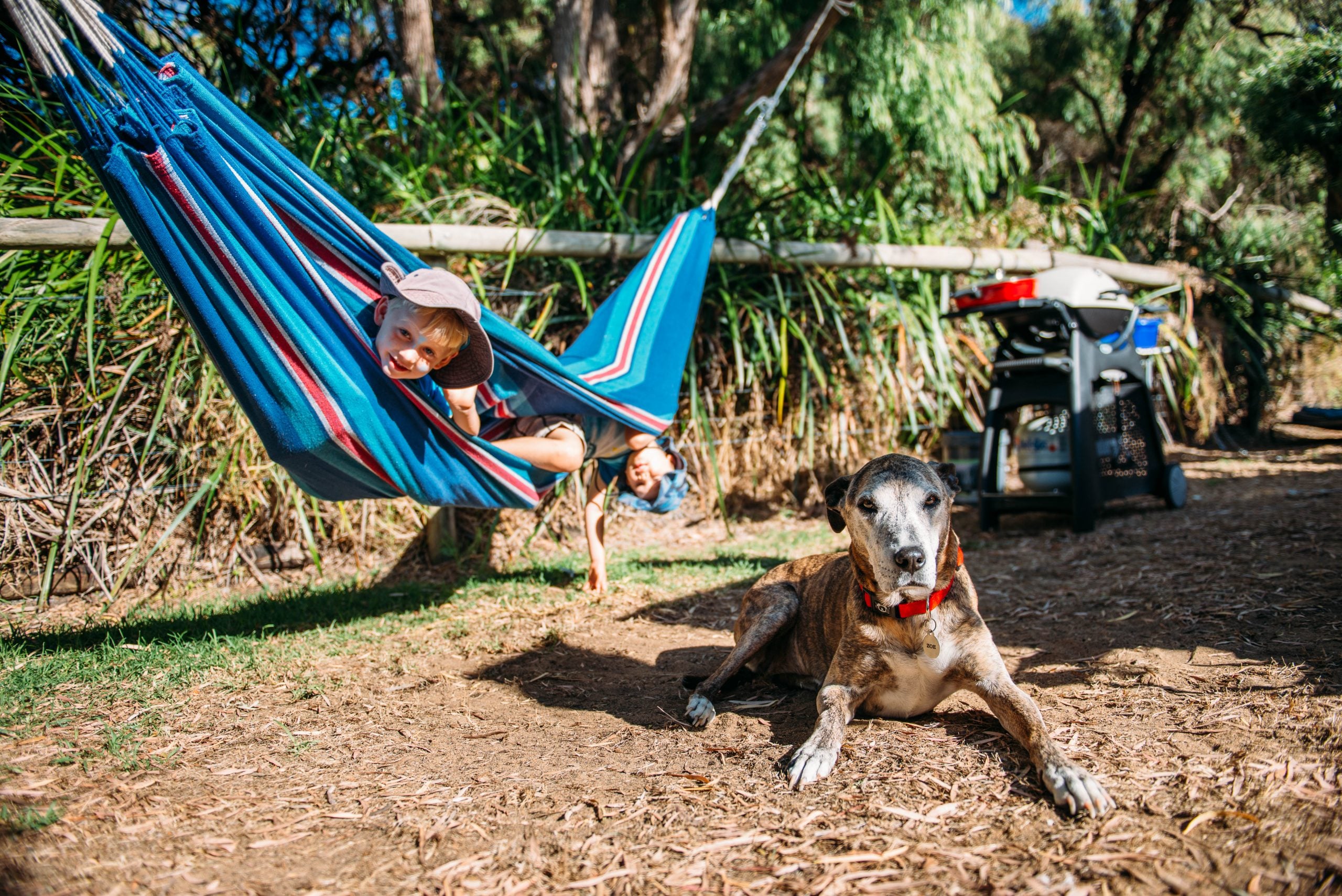 Dog Pet Friendly Accommodation Margaret River