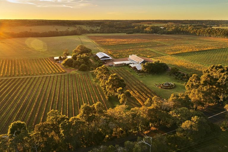 Cullen Wines Vineyard Wilyabrup is worth the Road Trip.