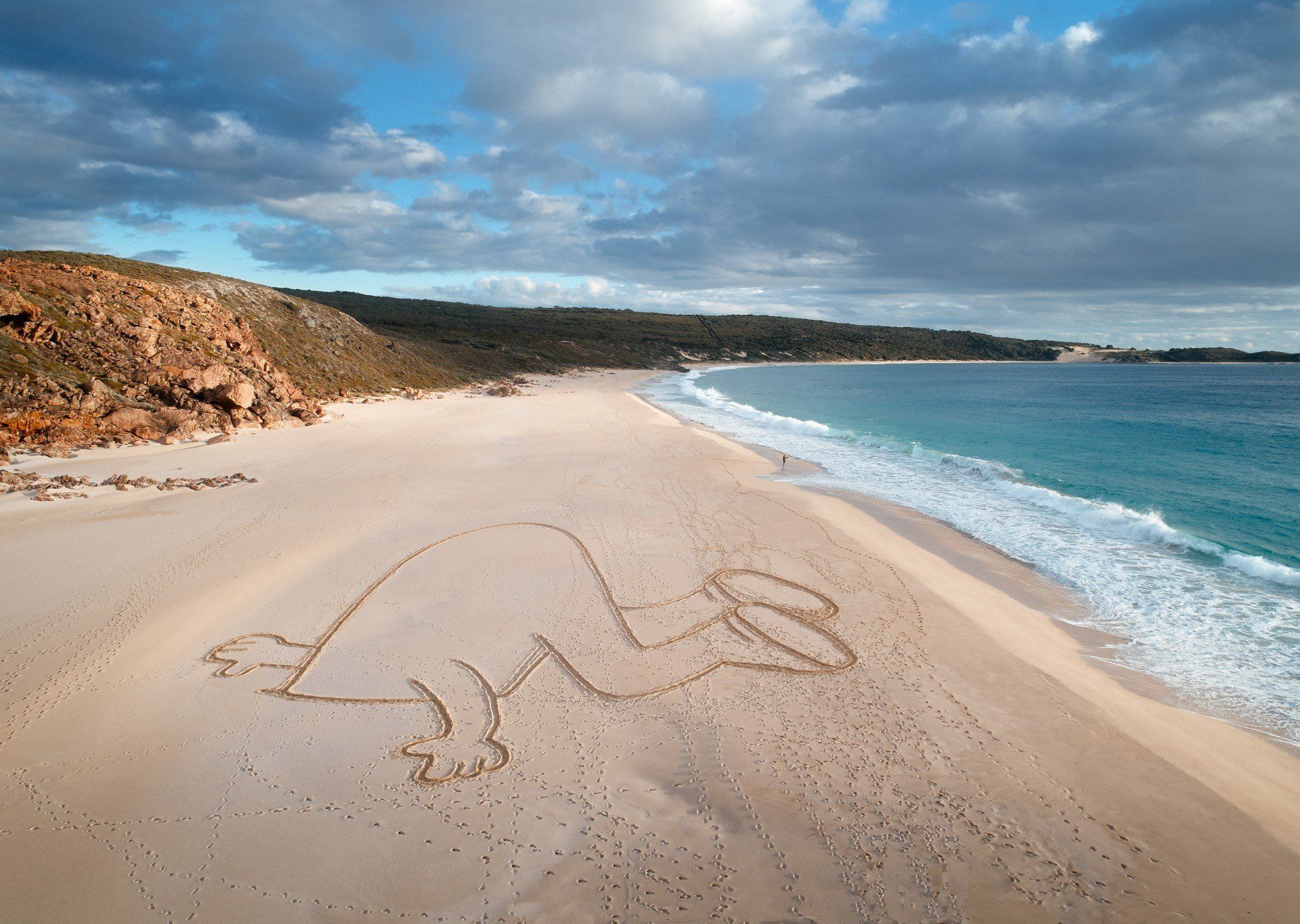 Ian Mutch Head In Sand Art