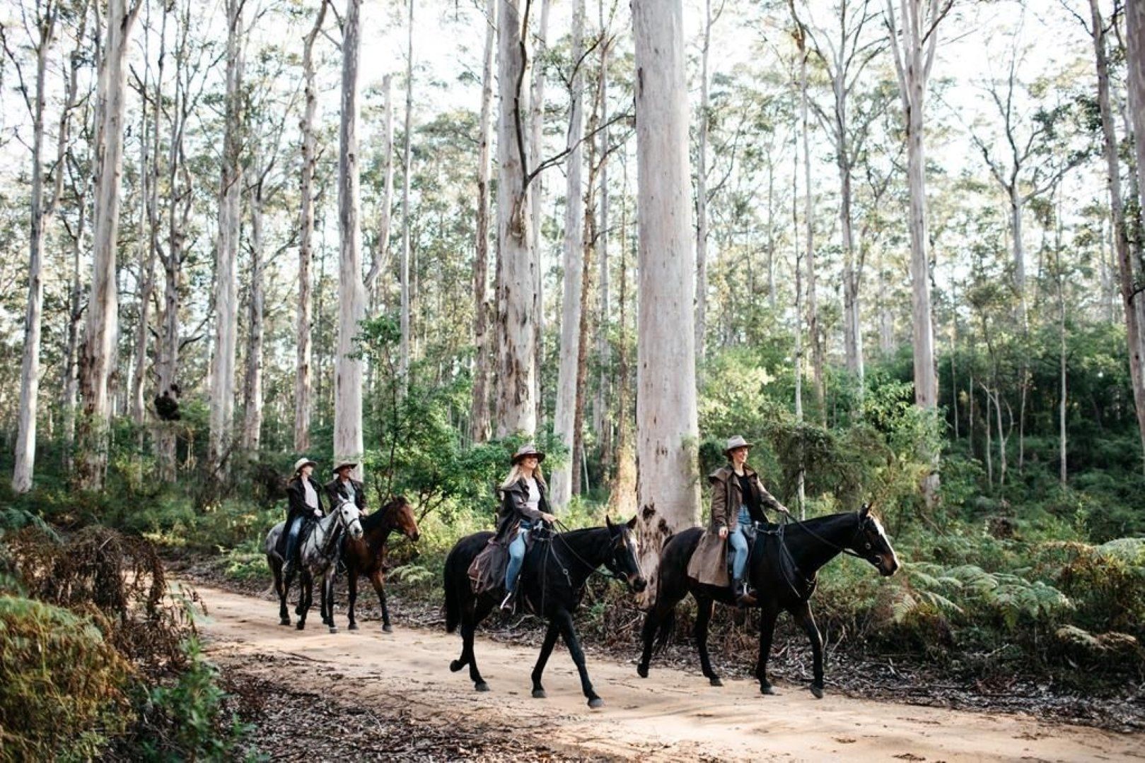 Boranup Forest Horse Riding Jesters Flat Tour