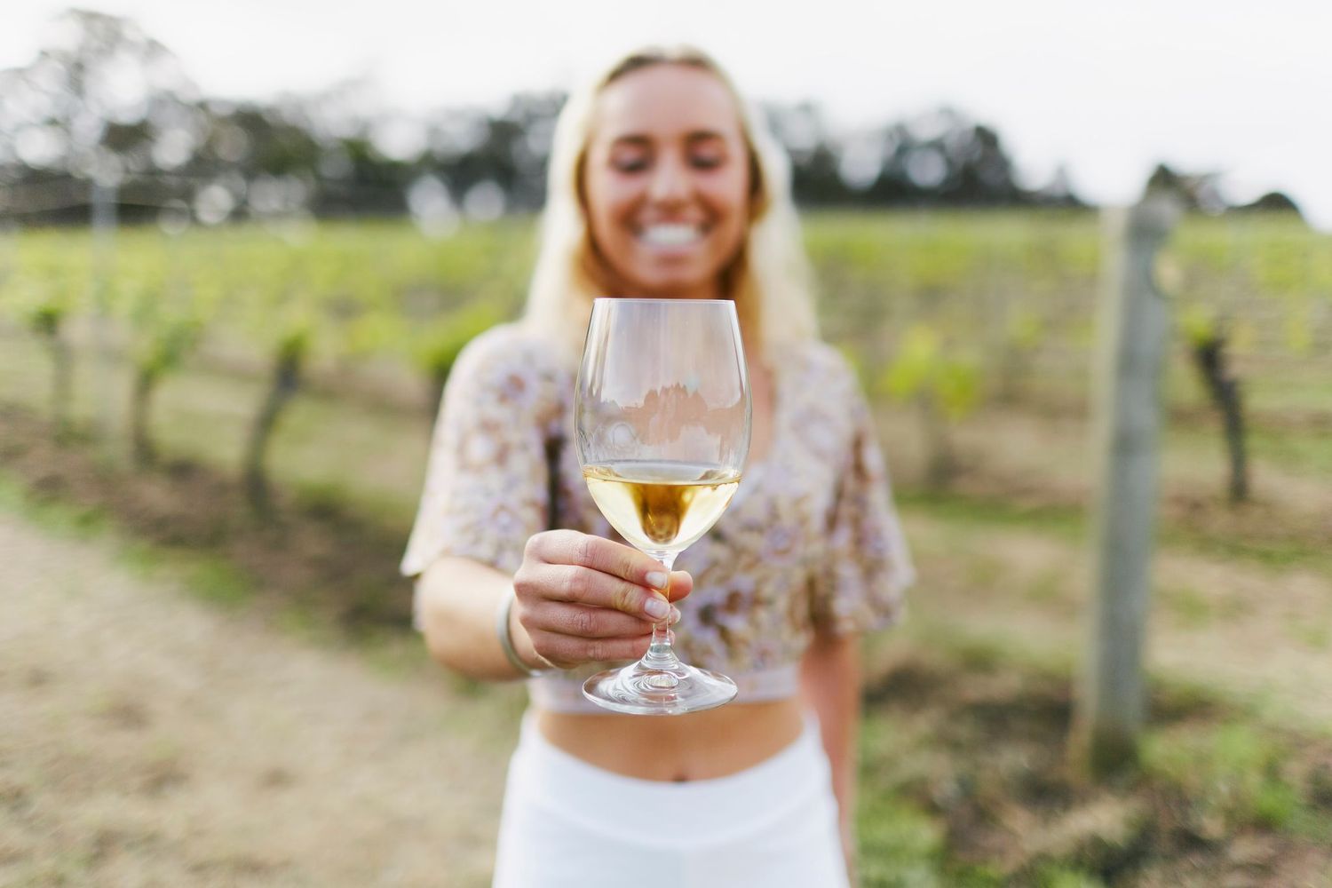 Chardonnay Spring White Wine
