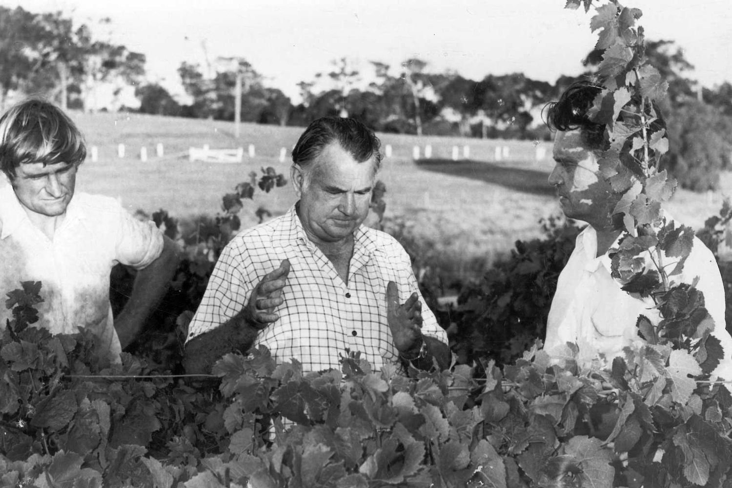 History of winemaking early days Margaret River