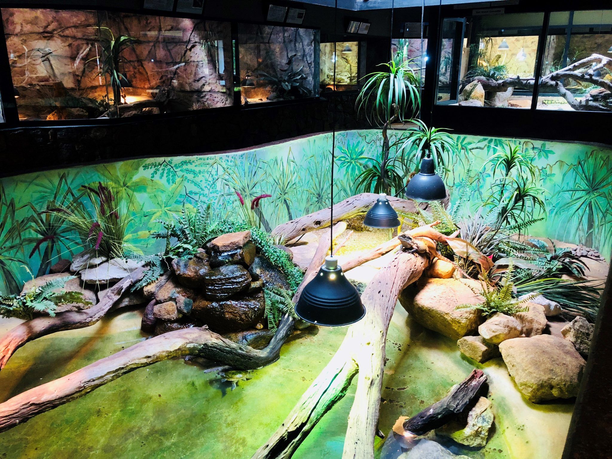 Discover Deadly Reptile Park