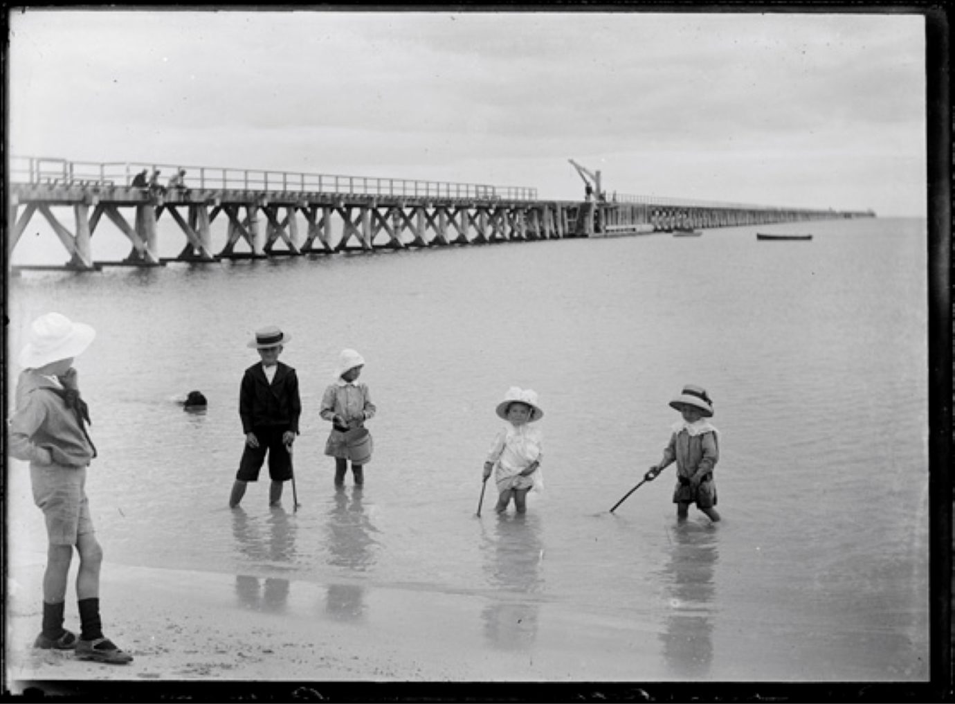 Busselton Jetty History State Library 1915