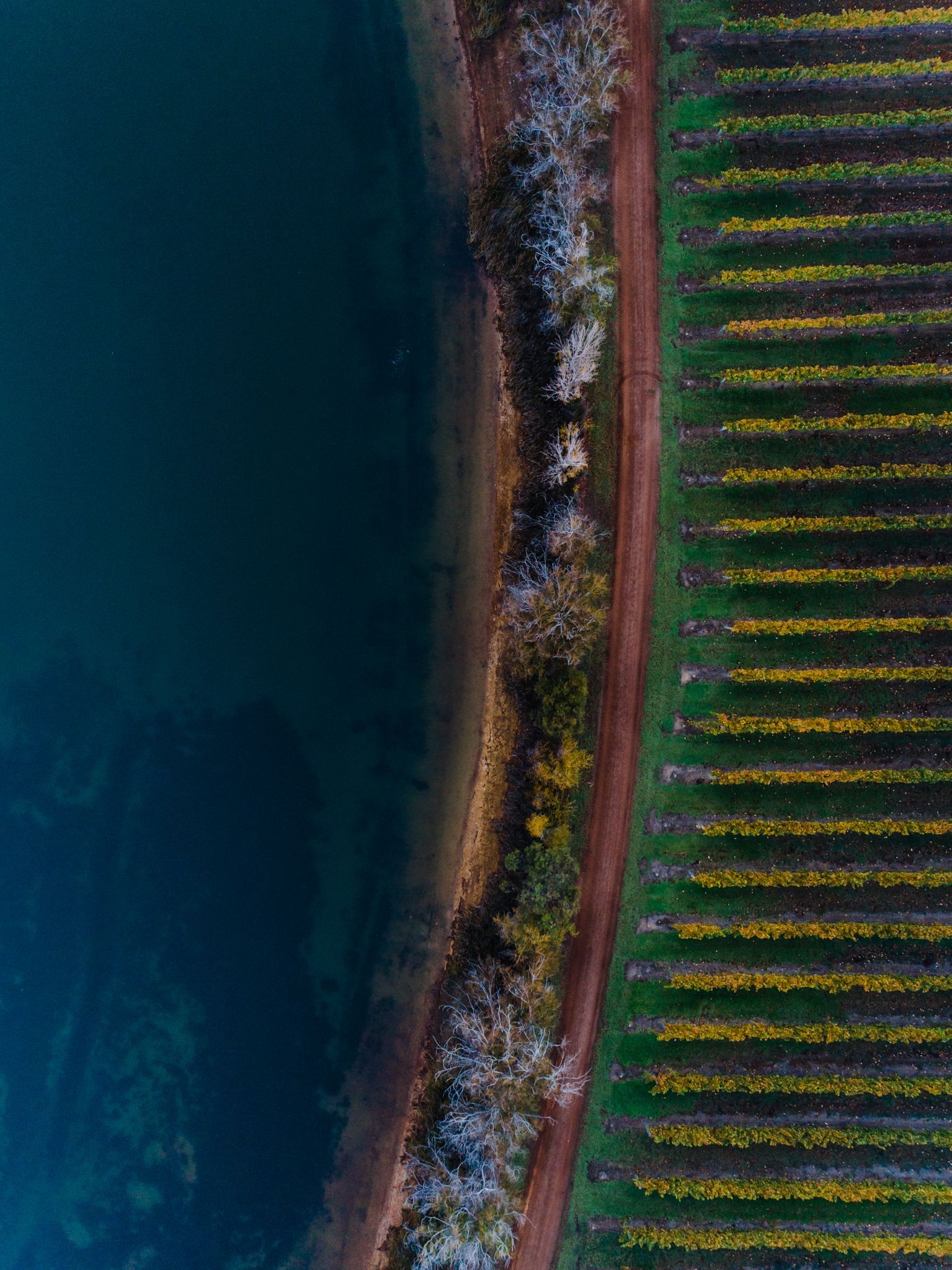 Vineyards Drone Margaret River Wine