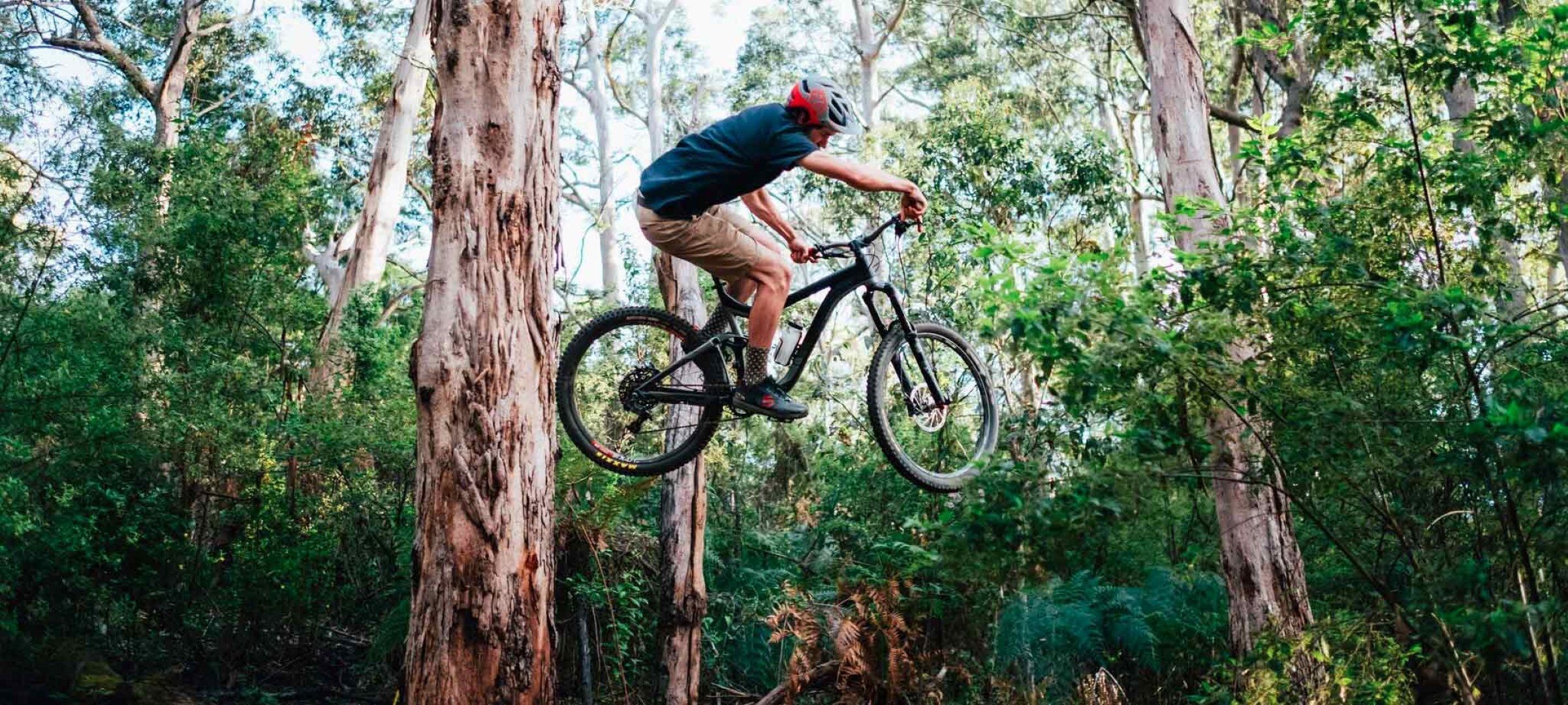 Mtb trails with jumps near me hot sale