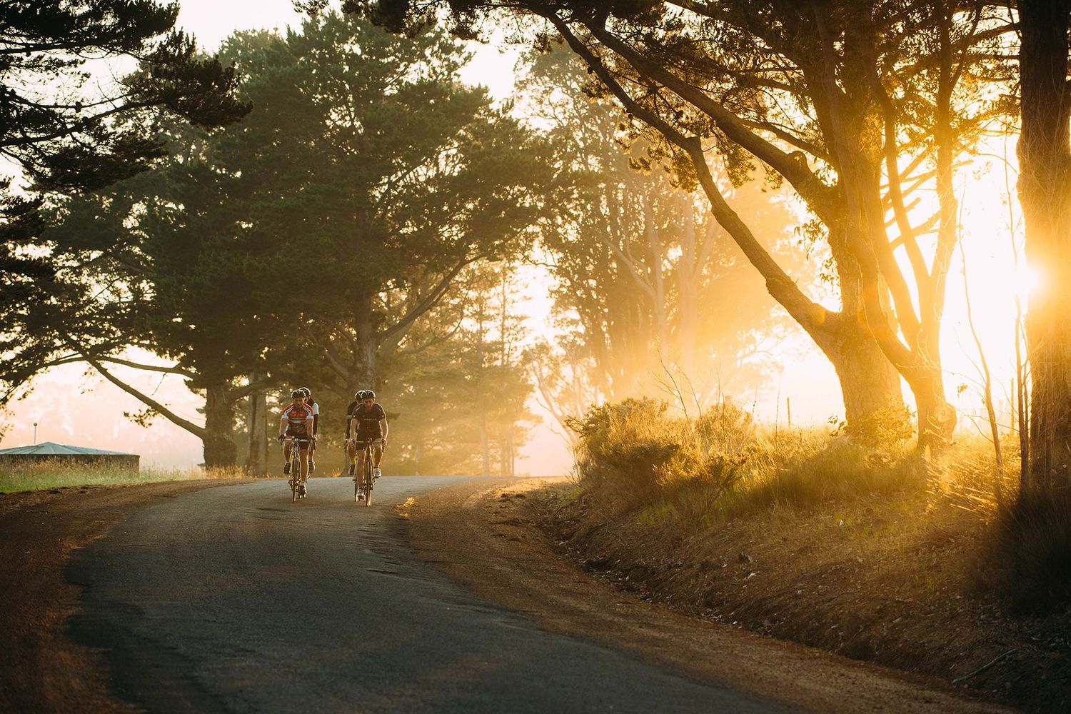 Road Cycling in Margaret River