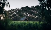 9 Wineries with Accommodation