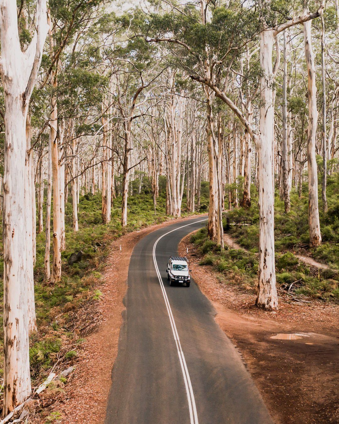 Boranup Forest captured by Zac White