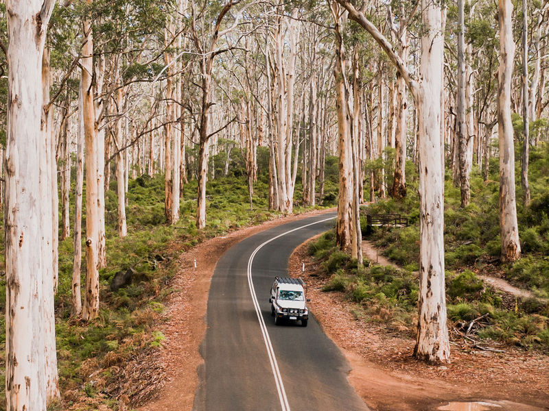 Boranup Forest captured by Zac White