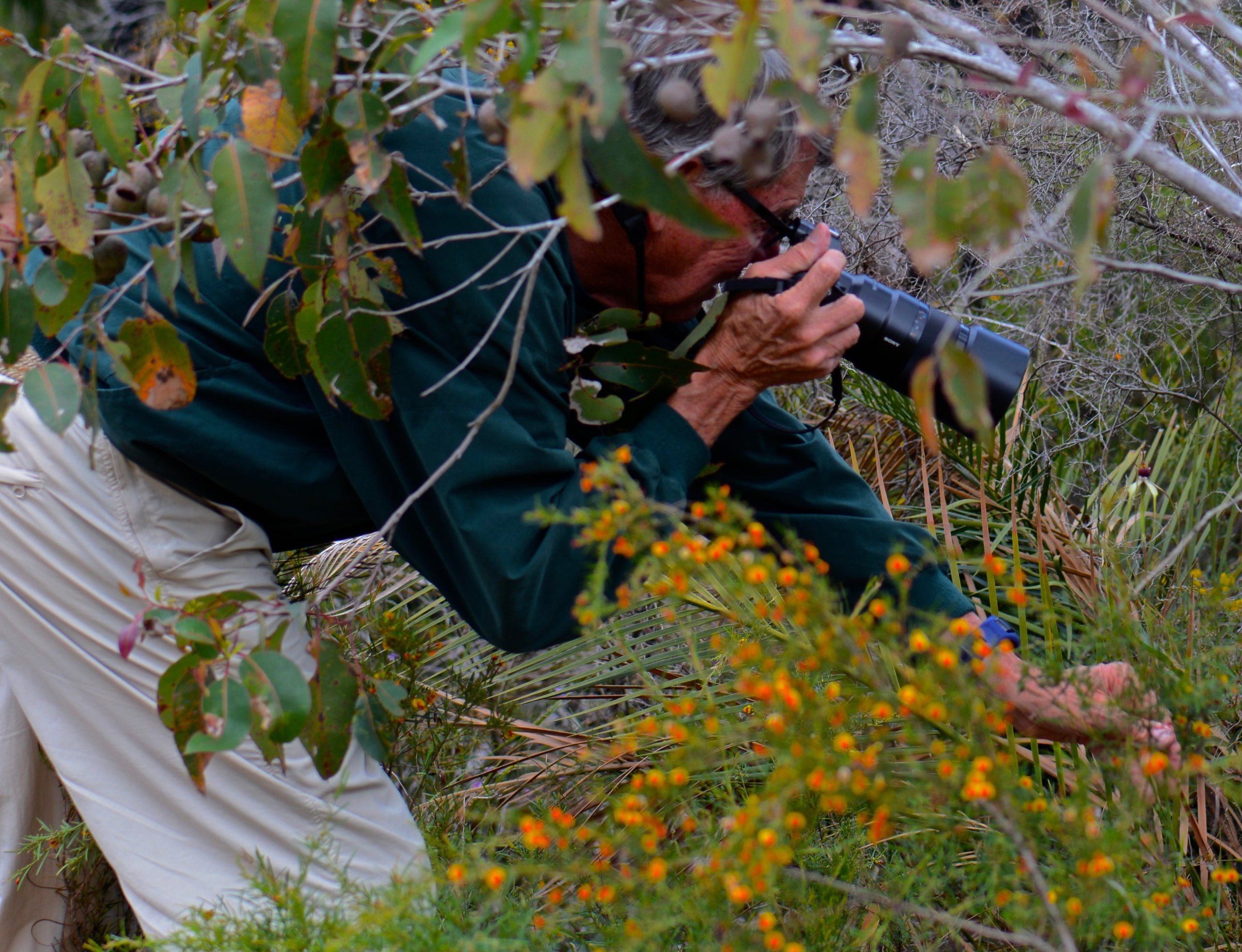 Hank Durlick taking a photo of wildflowers in Margaret River