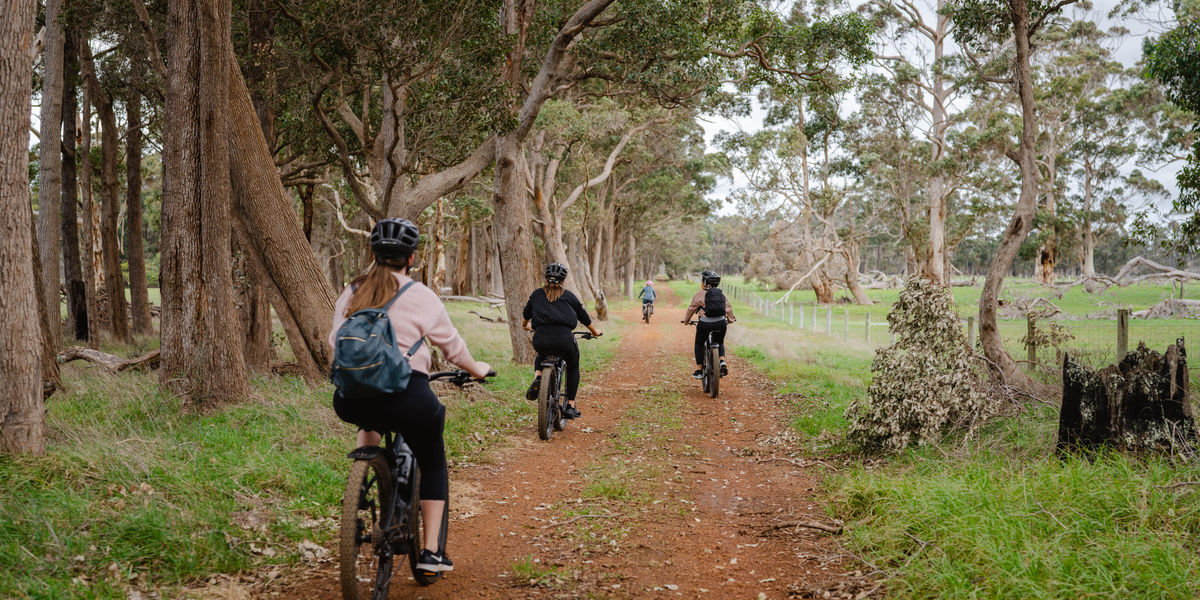 Easy Ride Tours E-Bikes Credit Dylan Alcock