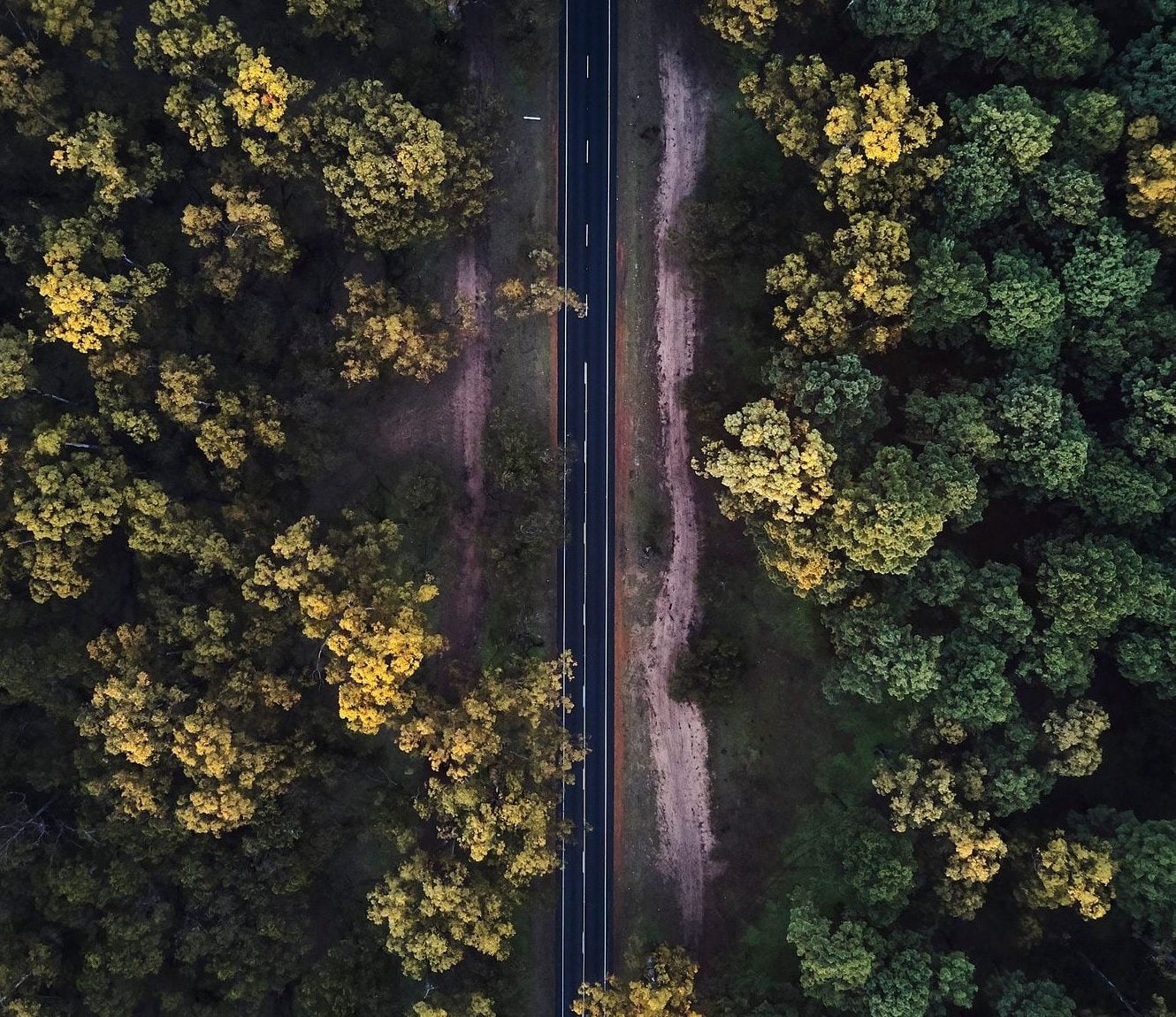 An aerial photo of the Tuart Ludlow Forest showing dense forest broken up by a road between.