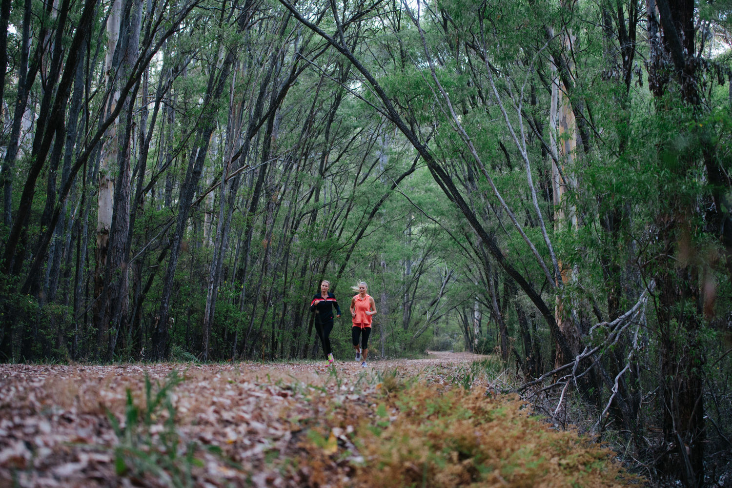 Guide to Trail Running - Credit Elements Margaret River