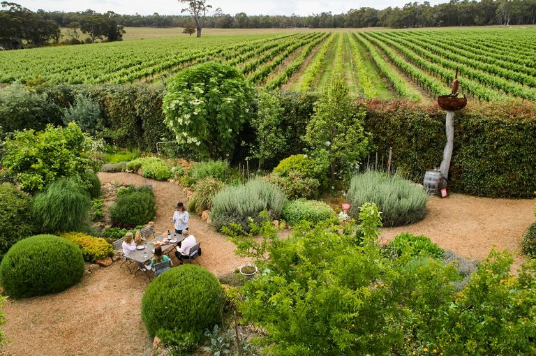 Aerial photo of a group standing amongst the sensory garden at Whicher Ridge Wines