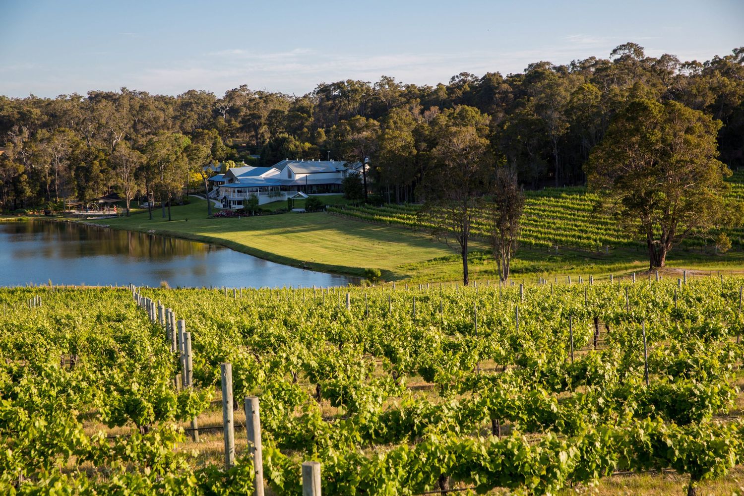 Winery in the Margaret River Region