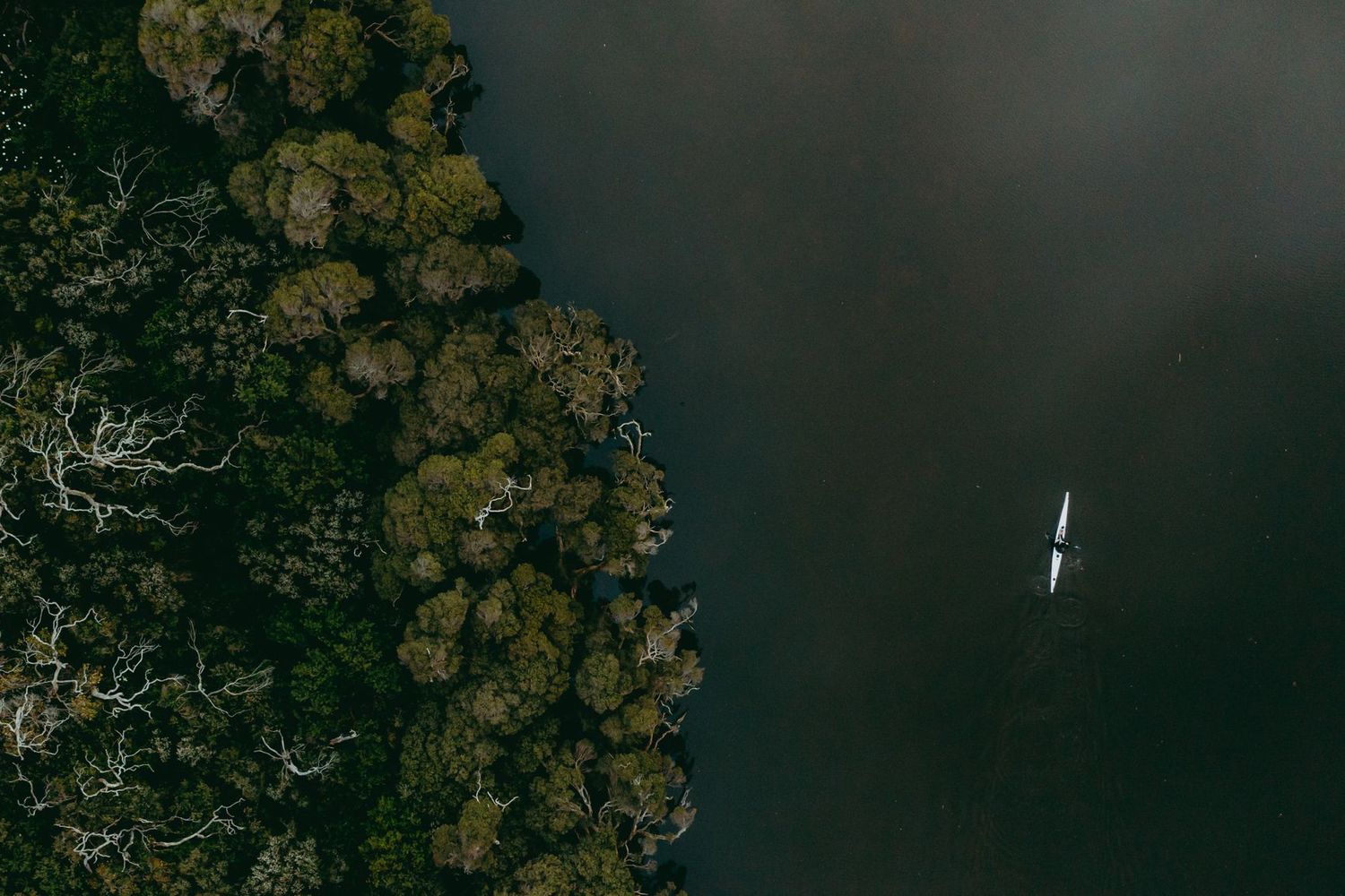 Kayaking on river. Credit Ryan Murphy
