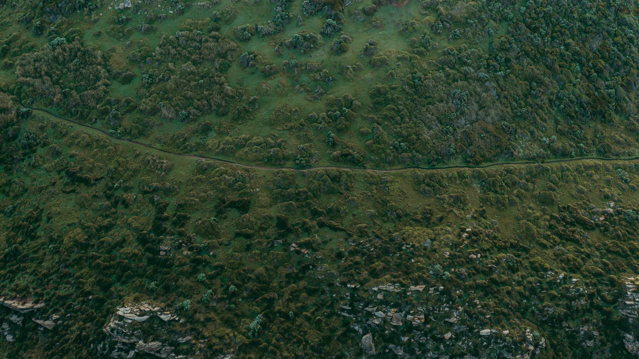 aerial image of green pastures with walking trail