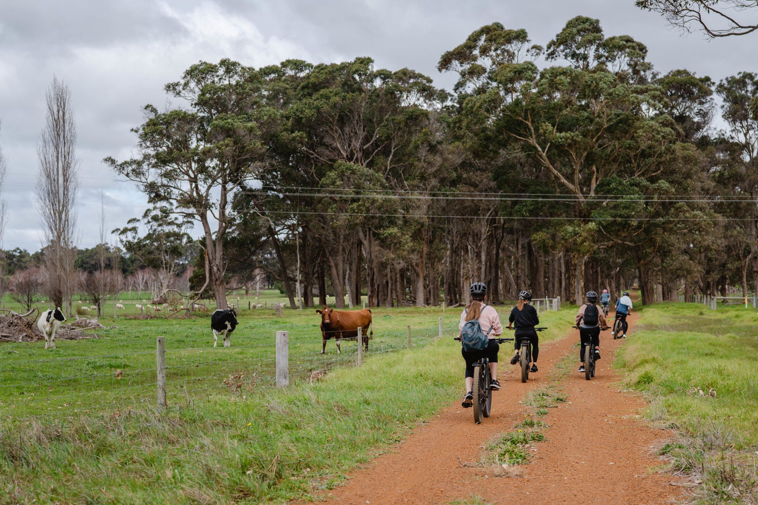 A group bike riding along the Wadandi Track. Credit Dylan Alcock