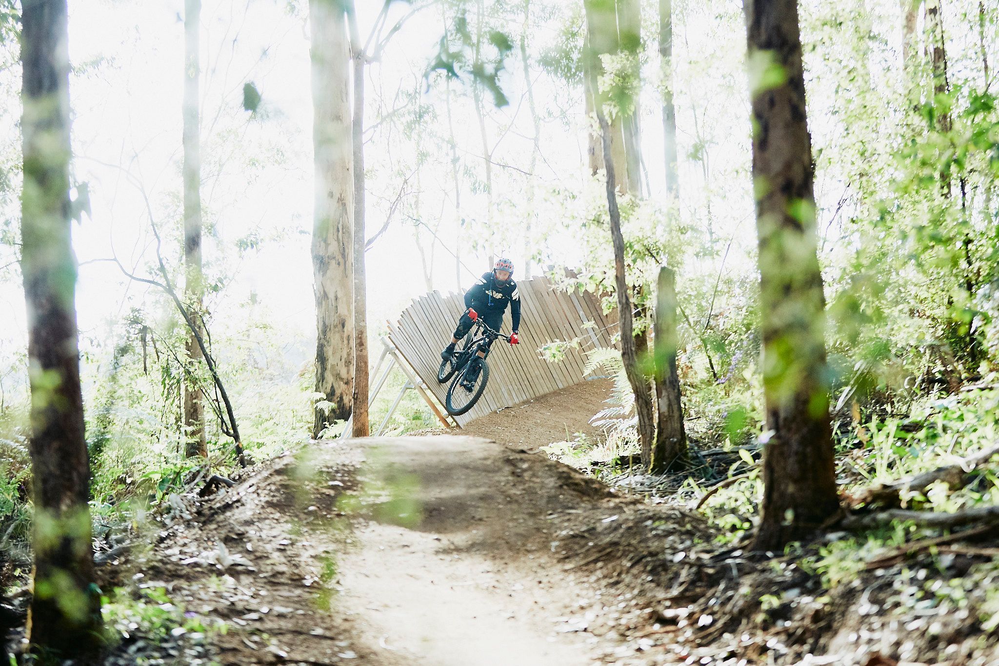 The Pines - Margaret River Mountain Biking Trails. Credit Tim Campbell