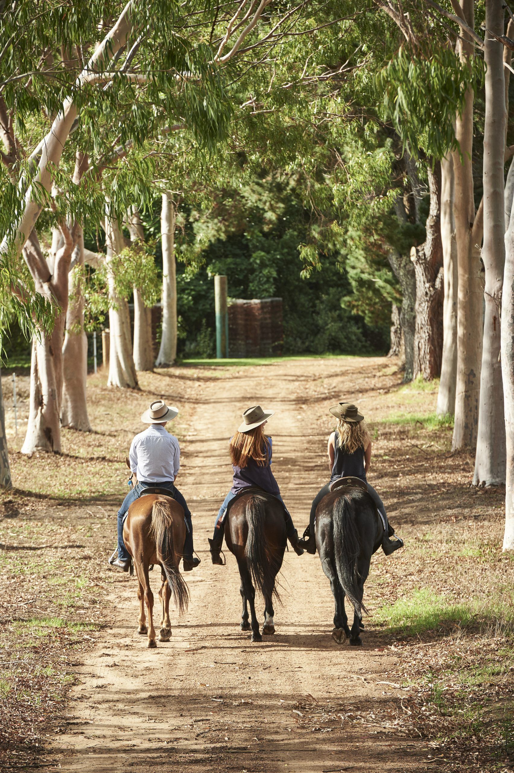 Three people horse riding with Jesters Flat, Margaret River