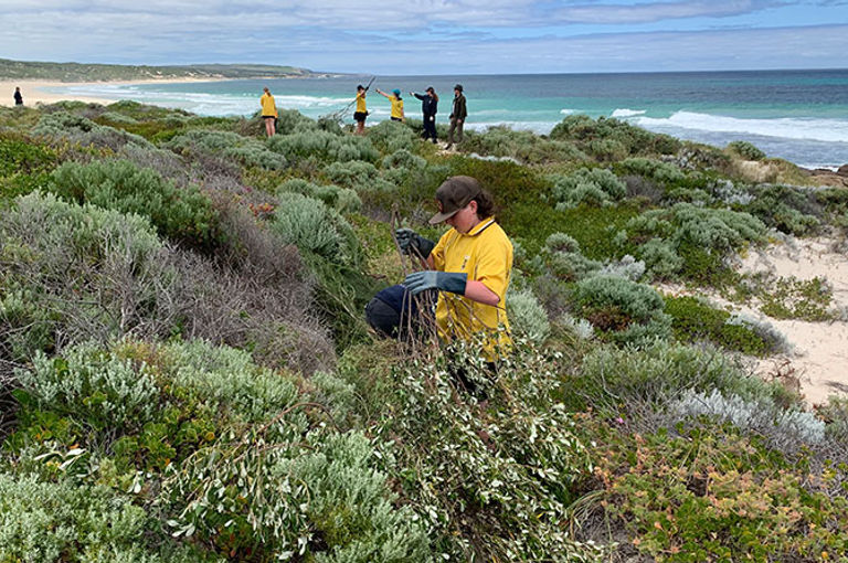 Volunteers Needed to Care for Gnarabup Coast
