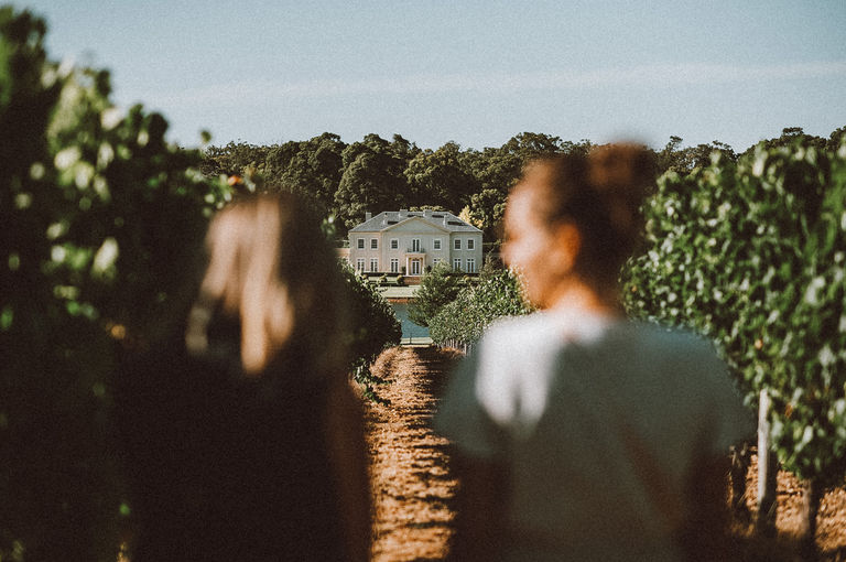 Image of two girls shot from behind and the waist up, walking through vinyards