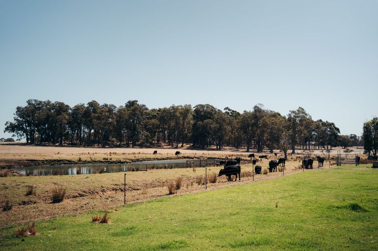 Beerfarm