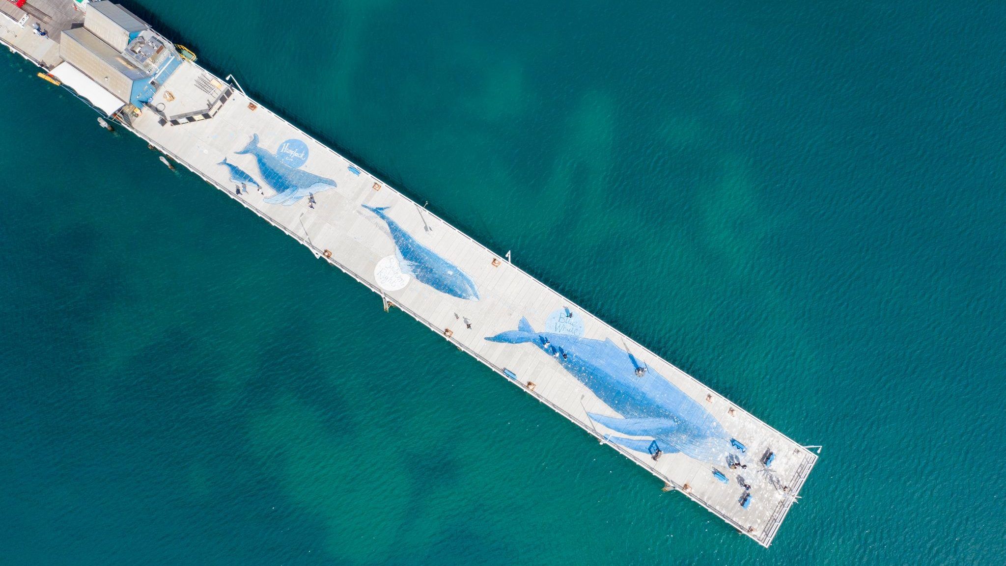 Aerial photo of the end of Busselton Jetty