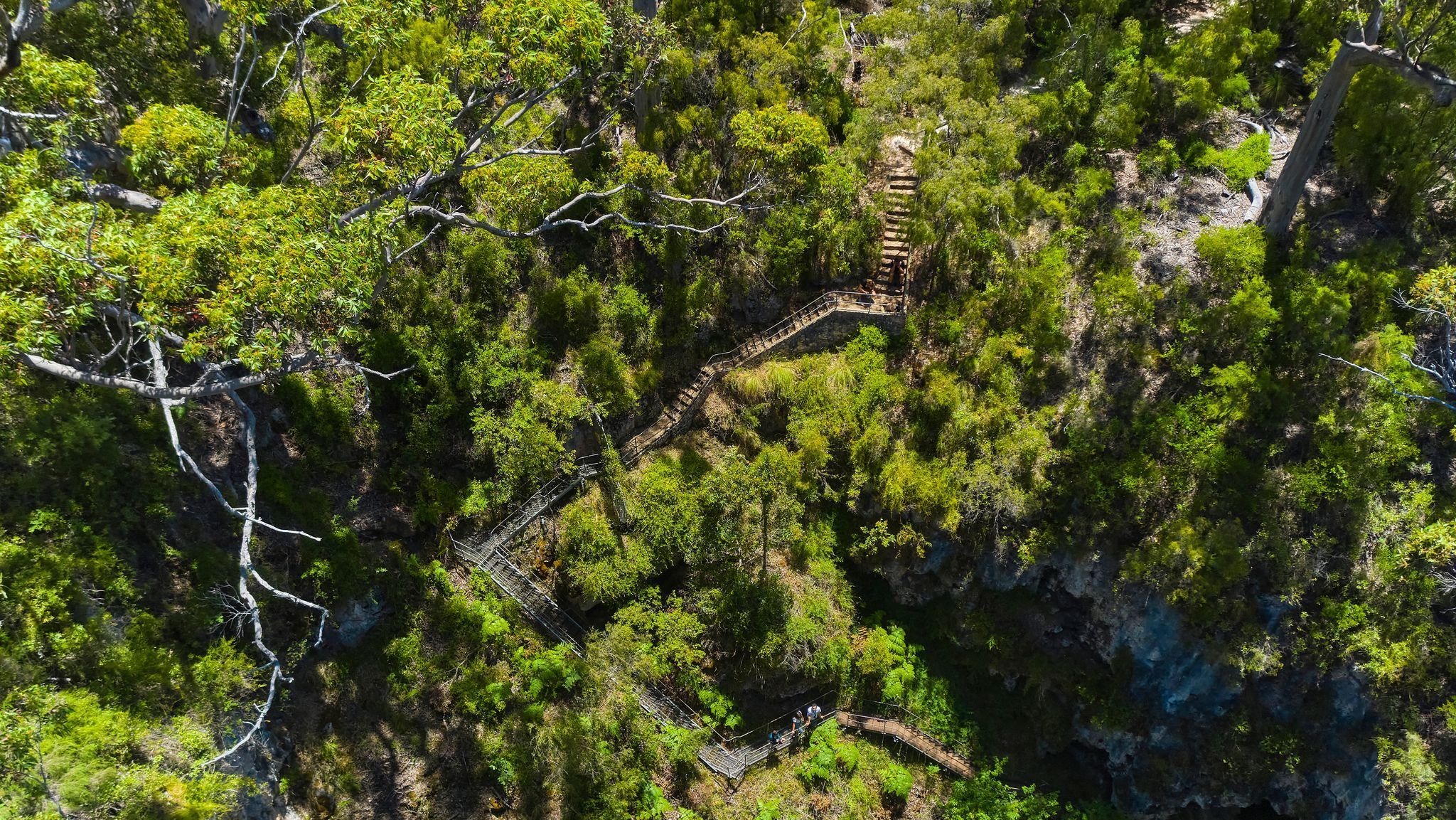 Aerial photo of the surrounding area of Mammoth Cave
