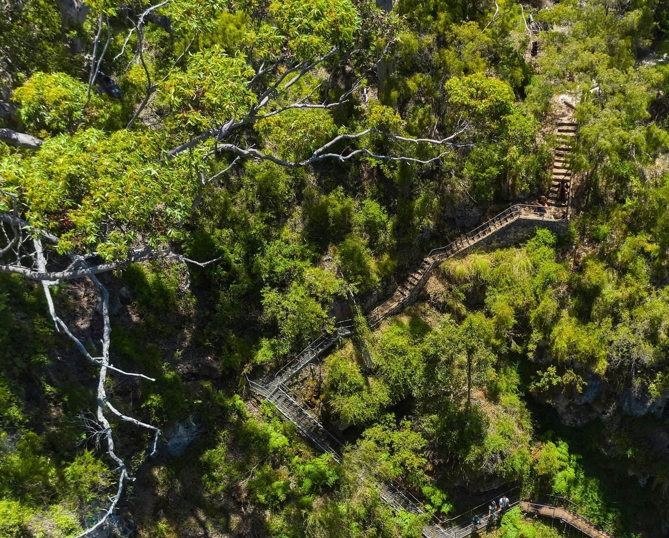 Aerial photo of the surrounding area of Mammoth Cave