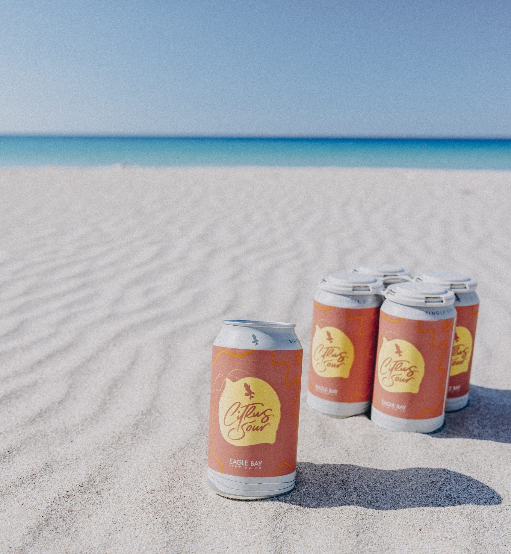 Eagle Bay Brewing Co.'s Citrus Sour is a perfect summer beer