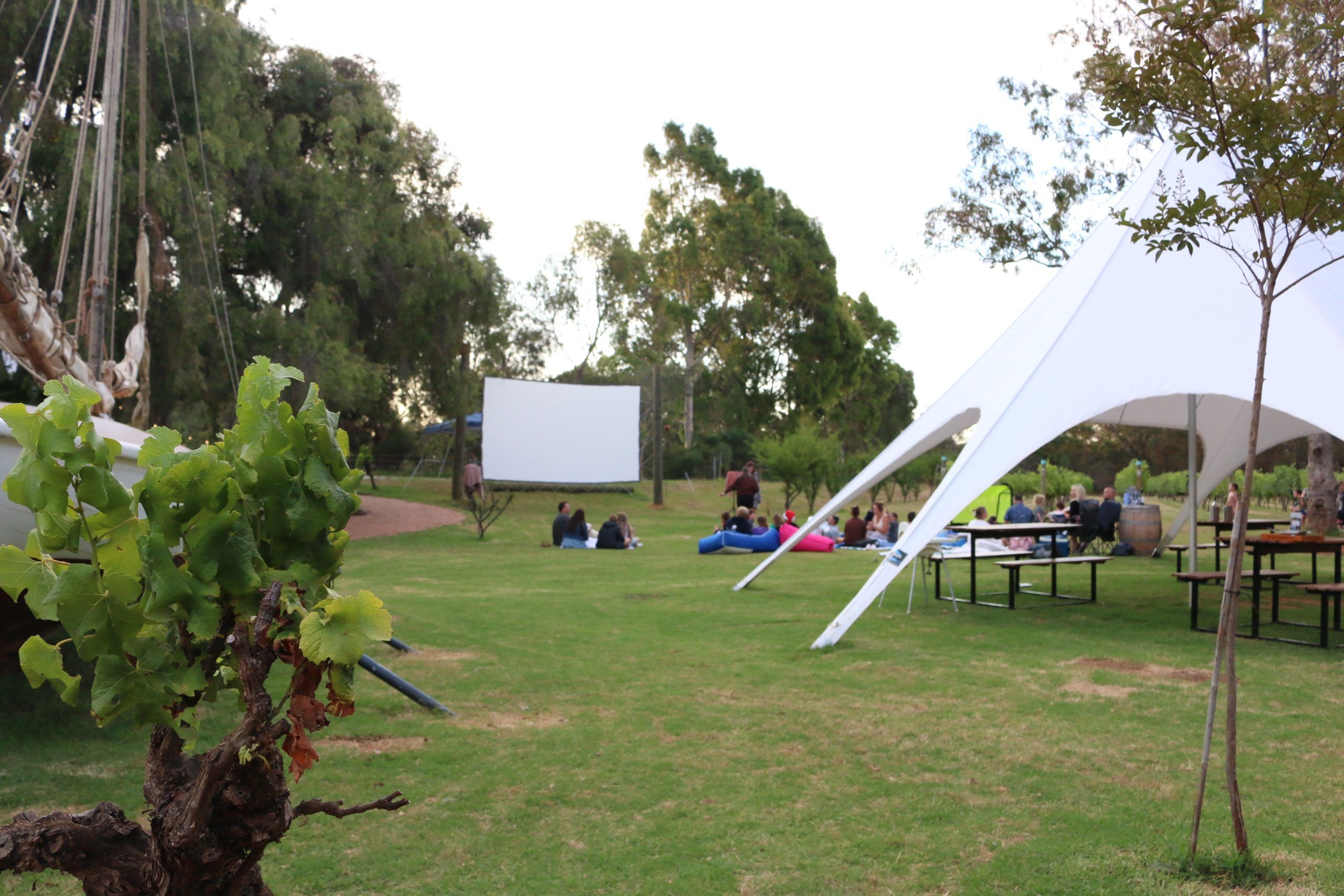 Lentedal Outdoor Movies