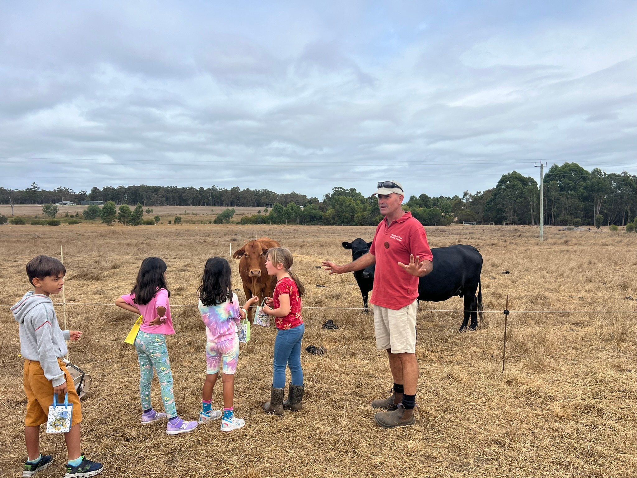 Forage Safaris