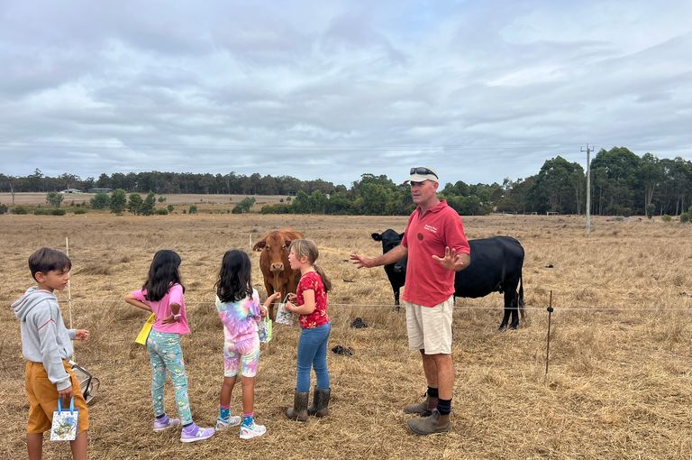 Forage Safaris